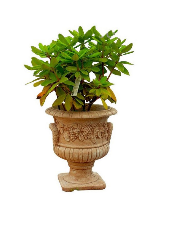 JVmoebel Pflanzkübel Massiver Pflanzgefäß Blumenkasten Pflanztrog Blumentopf aus Steinguss (1 St., Skulptur), Made in Europa von JVmoebel