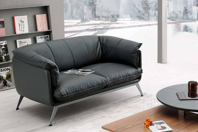 JVmoebel Sofa Leder Sofa Couch Zweisitzer Büro Einrichtung Lounge Club Sofa, Made in Europe von JVmoebel