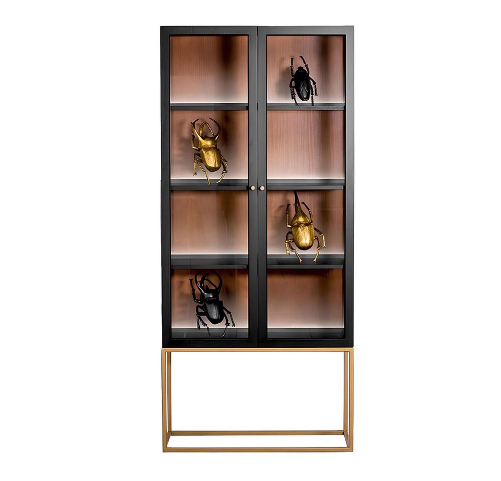 JVmoebel Vitrine Vitrine Schränke Vitrinen Schrank Holz Glas Möbel Design Wohnzimmer von JVmoebel