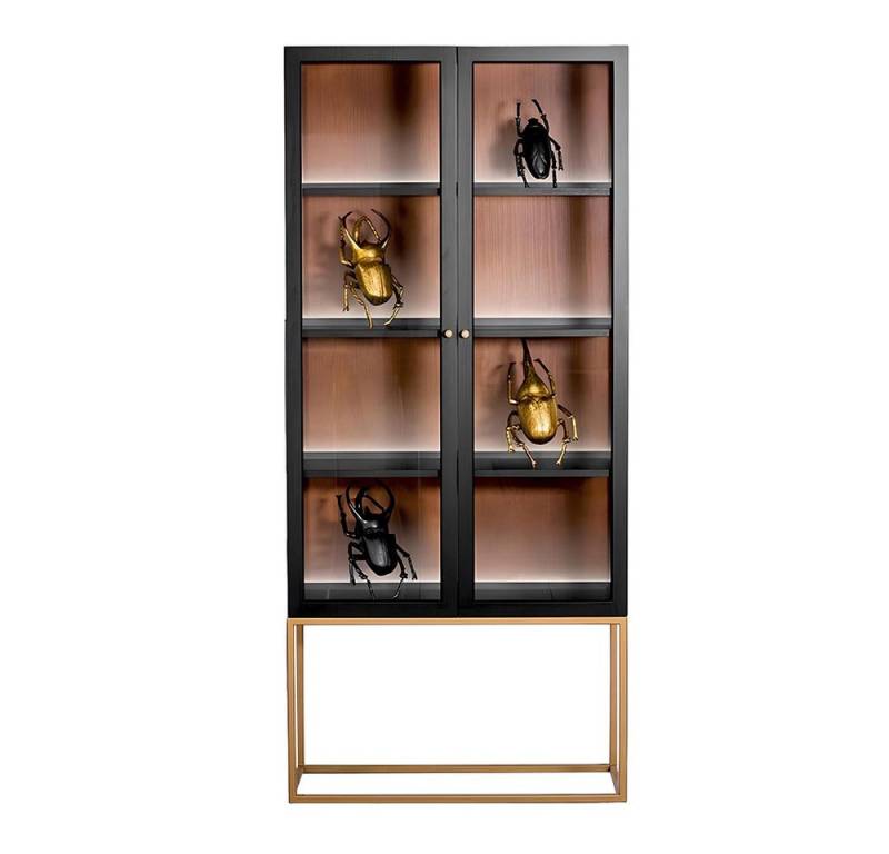 JVmoebel Vitrine Schränke Vitrinen Schrank Holz Glas Möbel Wohnzimmer Glasschrank Braun Made in Europa von JVmoebel