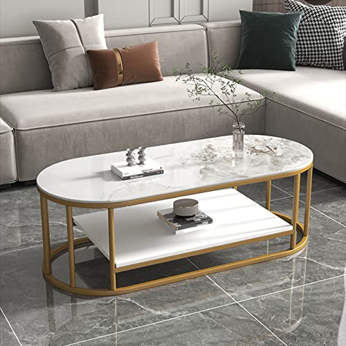 JWBXFYXW Moderner ovaler Couchtisch mit Lagerregal - Sintered Stone Top & Metall Rahmen - Einfache Baugruppe Wohnzimmer Büro Café Bar Möbel - Stilvoller Tee Tisch von JWBXFYXW