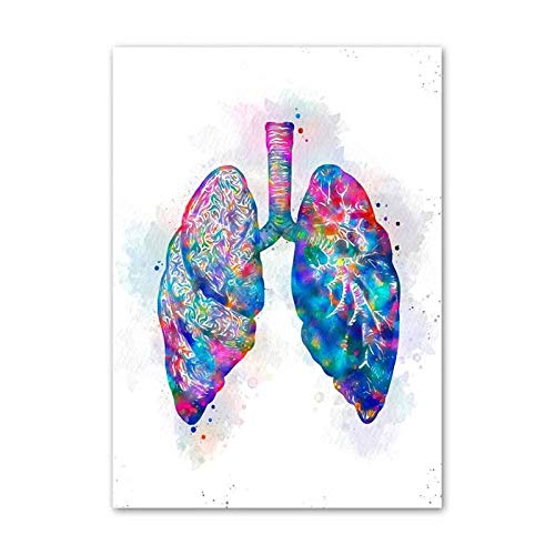 JWJQTLD Leinwanddruck Wandkunst Leinwand Malerei Anatomie Organe Nordische Poster Und Drucke Wandbilder Wohnzimmer Arztpraxis Dekor, 21X30Cm Ohne Rahmen von JWJQTLD