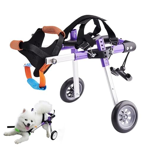 Rollstuhl für Hunde, Mobilitätshilfen für Hunde, Rollstühle für kleine Hunde, Hinterbeinstütze mit 2 Rädern, leichte und verstellbare Hilfe von JWQPAD