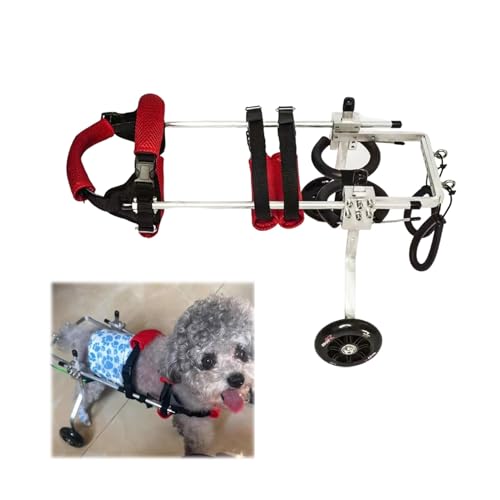 Rollstuhl für Hunde, Rollstuhl für Hunde, Hundewagen mit 2 Rädern, Rollstuhl für Behinderte, Verletzte oder gelähmte Hunde, tragbarer Rollstuhl für kleine Hunde, von JWQPAD