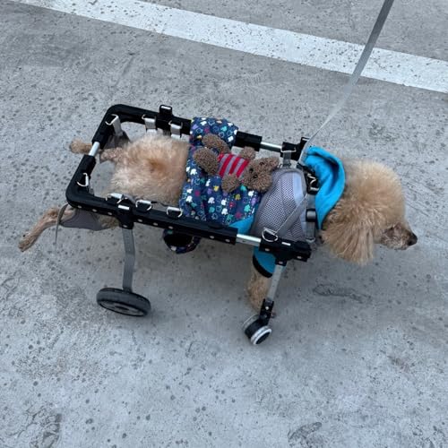 Rollstuhl für Hunde, Rollstuhl für Hunde, Rollstuhl für ältere behinderte Hunde, Mobilitätshilfe für Katzen und Haustiere, komplette Unterstützung für Hüften und Beine für von JWQPAD
