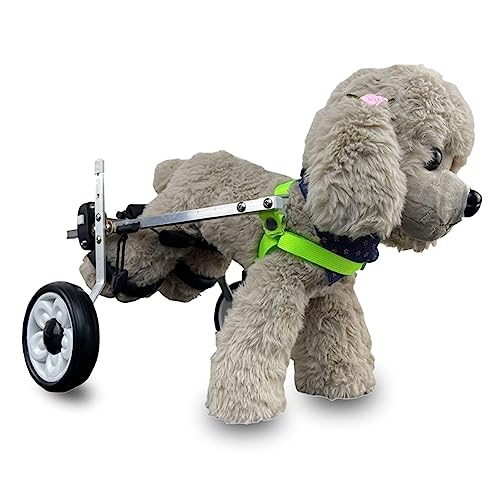 Rollstuhl für Hunde, Rollstuhlfahrer für kleine und mittelgroße Hunde, Transportwagen zur Unterstützung der Mobilität von Hunden und Rückbeinen von JWQPAD