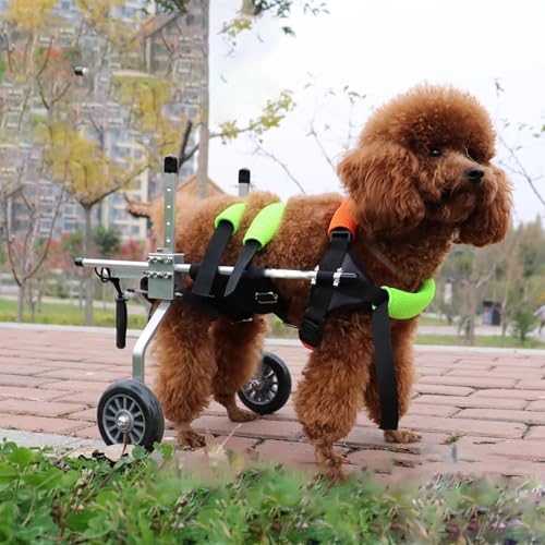 Rollstuhl für Hunde, verstellbarer und unterstützender Rollstuhl für Hunde, mit Geschirr, leichte Rollstühle für Hunde, für Hinterbeine, bequemer Kinderwagen für Haustiere zum Gehen mit Artri von JWQPAD