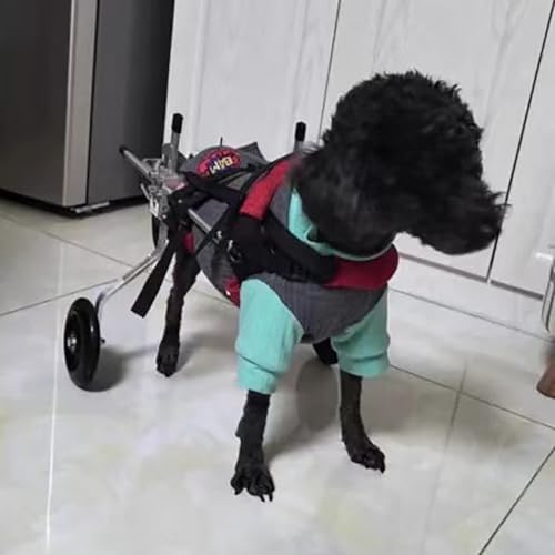 Rollstuhl für Hunde, verstellbarer und unterstützender Rollstuhl für Hunde, mit Geschirr, leichte Rollstühle für Hunde, für Hinterbeine, bequemer Kinderwagen für Haustiere zum Gehen mit Artri von JWQPAD