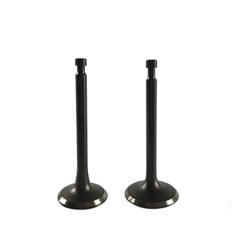 Und Ventile Kit for 168F 170F 5,5hp ~ 7hp,196cc ~ 212cc Benzin Motoren 2~3kw Generator Ersatzteile Ersatzteil(170F 212CC Valves) von JWRMZX