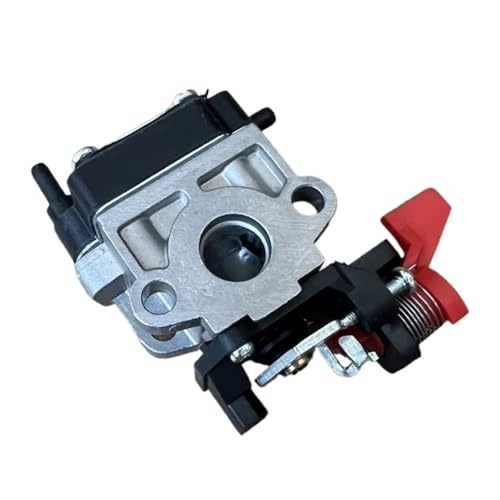 VERGASER PASST for RY08510 RY08570 RY60511 RY60512 WYC-22-1 WYC-3-1 Ersatzteil VERGASER PASST for RY08510 RY08570 RY60511 RY60512 WYC-22-1 WYC-3-1 Ersatzteil von JWRMZX