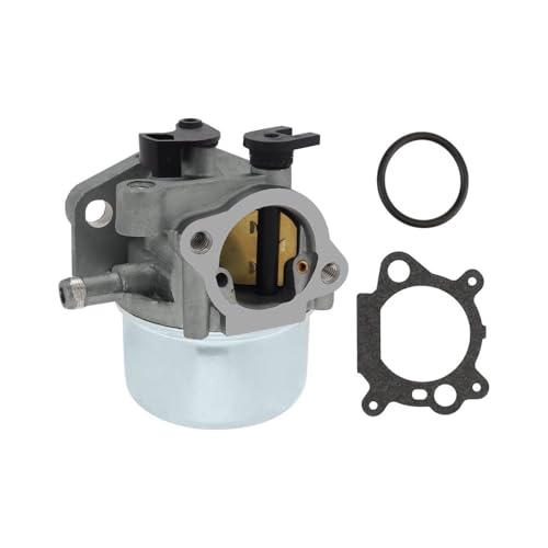 Vergaser passend for 794304 796707 799866 790845 799871 von JWRMZX