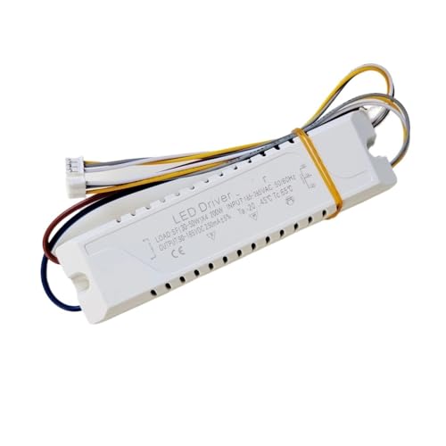 LED-Treiberbeleuchtung AC220V nicht isolierter Transformator((30-50W) X4 200W) von JWVNSKCA