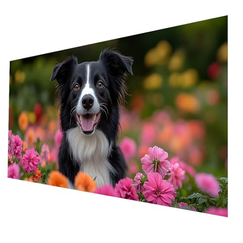 5D Diamond Painting Erwachsene, Diamant Malen Nach Zahlen Hund mit Diamond Painting Zubehör Set Landschaft, Vollbohrer leinwand Malen 100 x 200 CM, Diamant Cross Stitch Bastelset Erwachsene JXL-7670 5D Diamond Painting Erwachsene, Diamant Malen Nach Zahlen Hund mit Diamond Painting Zubehör Set Landschaft, Vollbohrer leinwand Malen 100 x 200 CM, Diamant Cross Stitch Bastelset Erwachsene JXL-7670 von JXLEULIN