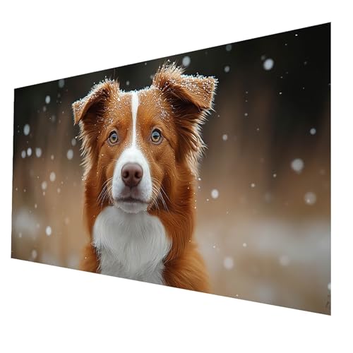 5D Diamond Painting Erwachsene, Diamant Malen Nach Zahlen Winter mit Diamond Painting Zubehör Set Hund, Vollbohrer leinwand Malen 60 x 120 CM, Diamant Cross Stitch Bastelset Erwachsene JXL-7266 5D Diamond Painting Erwachsene, Diamant Malen Nach Zahlen Winter mit Diamond Painting Zubehör Set Hund, Vollbohrer leinwand Malen 60 x 120 CM, Diamant Cross Stitch Bastelset Erwachsene JXL-7266 von JXLEULIN