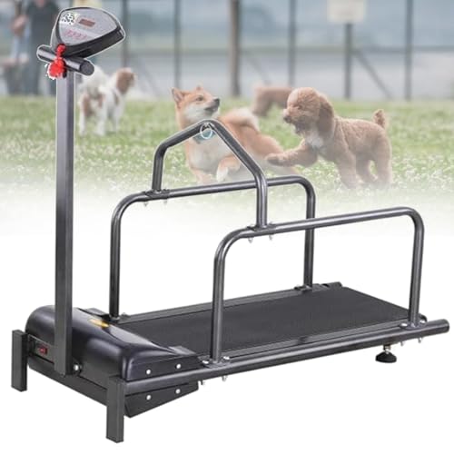 Hundelaufband für mittelgroße/große Hunde,mit Display, für gesunde und fitte Haustiere,Anzeige von Geschwindigkeit, Zeit Hundelaufband für mittelgroße/große Hunde,mit Display, für gesunde und fitte Haustiere,Anzeige von Geschwindigkeit, Zeit von JXUANMM