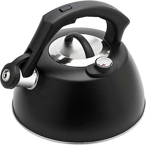 JYARZ Wasserkessel Induktion Pfeifender Teekessel Aus Edelstahl Mit Temperaturanzeige, Küchenpfeifkessel, Gasherdkessel Wasserkessel Gasherd (Color : Nero, Size : 2.5L) von JYARZ