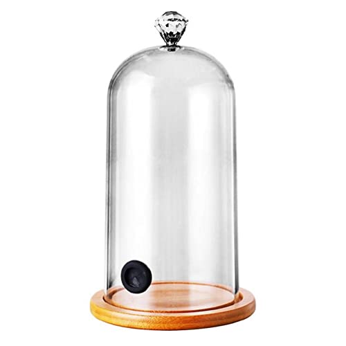 Plastic Smoking Cloche Hood Molecular Cuisine Food Dome Cover für Cocktail-Kuchen, JYLSSKUK von JYLSSKUK