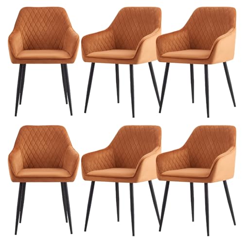 JYMTOM Esszimmerstühle 6er Set Küchenstühle Polsterstühle modernes Design Stühle mit Armlehne, Sitzfläche aus Samt, Gestell aus Metall, für Wohnzimmer, Schlafzimmer und Küche(6,Orange) von JYMTOM