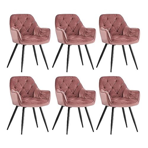 JYMTOM 6er-Set Esszimmerstühle mit dickem Samtstoff gepolsterter Sitz, Metallbeinen, Armlehnen und Rückenlehne Eckstuhl für Lounge Wohnzimmer (6, Rosa) von JYMTOM