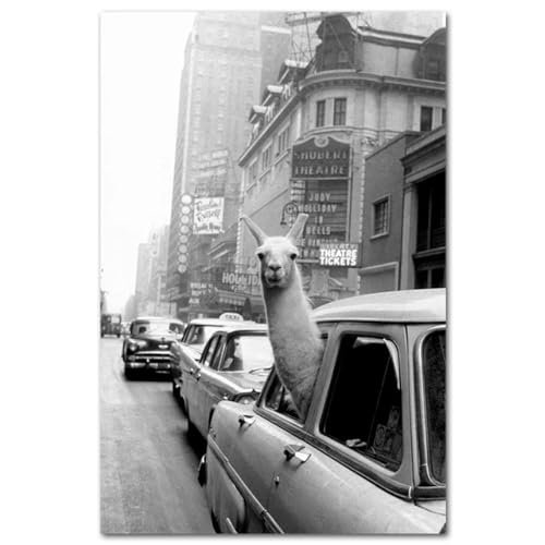 Leinwanddruck Schwarz-Weiße Reiselandschaftsposter, Alpaka-Giraffe In Einem Texi-Leinwandgemälde, New Yorker Straßenfotografie, Bilder, Heimdekoration, 50 X 70 cm, Ohne Rahmen von JYWDZSH