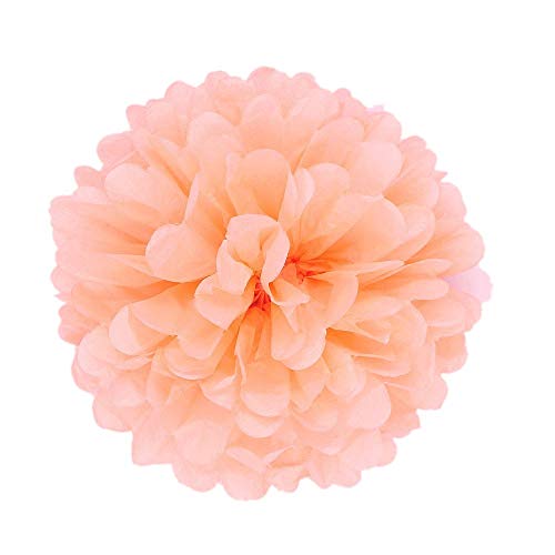 JZK 10 x Pompoms Pompons, 25cm Durchmesser, Seidenpapier blume Dekoration für Wohnzimmer Hochzeit Geburtstag Babyparty Kinder Party Weihnachten Silvester, Koralle von JZK