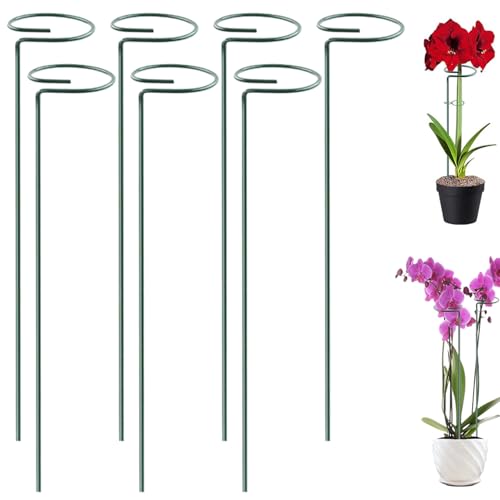 7pcs 16 -Zoll -Pflanzenträger, wasserdichte Metallstammhalter für Innenorchidee Pfingstrose Rosentomate 7pcs 16 -Zoll -Pflanzenträger, wasserdichte Metallstammhalter für Innenorchidee Pfingstrose Rosentomate von JZLEJC
