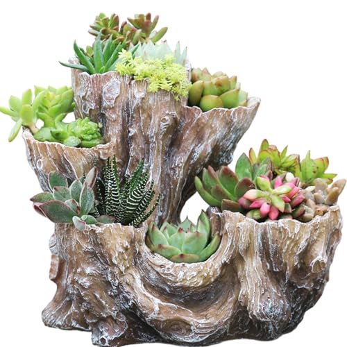 JZLEJC Driftwood -Pflanzer, unregelmäßiges Harz rustikaler Sukkulenten -Topf für Kraut, Blume, Erdbeere, kleine Pflanzen, Weiß JZLEJC Driftwood -Pflanzer, unregelmäßiges Harz rustikaler Sukkulenten -Topf für Kraut, Blume, Erdbeere, kleine Pflanzen, Weiß von JZLEJC