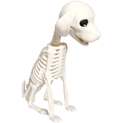 Skeletthund 8x7x3 Zoll, realistischer gruseliger Plastik -Plastik -Halloween -Dekor für Innen im Freien Skeletthund 8x7x3 Zoll, realistischer gruseliger Plastik -Plastik -Halloween -Dekor für Innen im Freien von JZLEJC