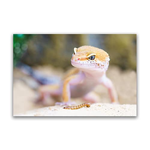 Leinwand bild Tier Poster Und Kunstdrucke-Gecko-Eidechse Tier Gemälde Druck auf Leinwand.Leinwand Wandkunst Bilder Für Wohnzimmer Dekor 40x60cm(16x24in) rahmenlos von JZSDGB