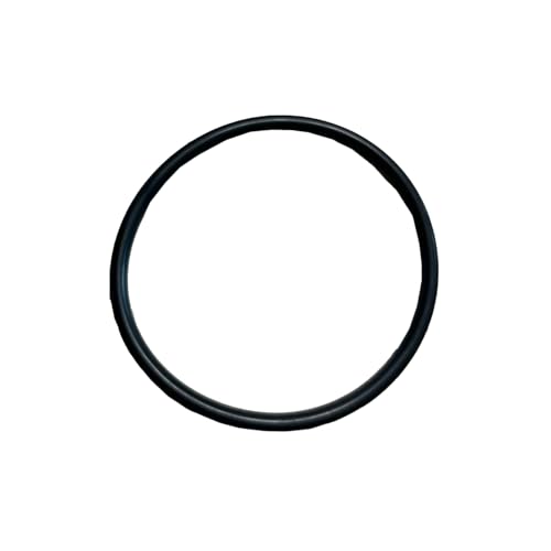 Dichtungsring für Intex SSP-H-20-M SSP-H-10-2 SSPH102 403M 401M und 637R Pure Spa Pumpe O-Ring Pure Spa Typ für Wasserpumpe, Reine Spa Wasserpumpe Ersatzteile, Reine Spa Whirlpool Pumpe O-Ring von JZSMY