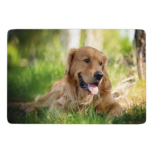 JZemdybill Carpet Dog Golden Retriever Teppich, weiche Bodenmatte für Wohnzimmer, Schlafzimmer (100 x 150 cm) von JZemdybill