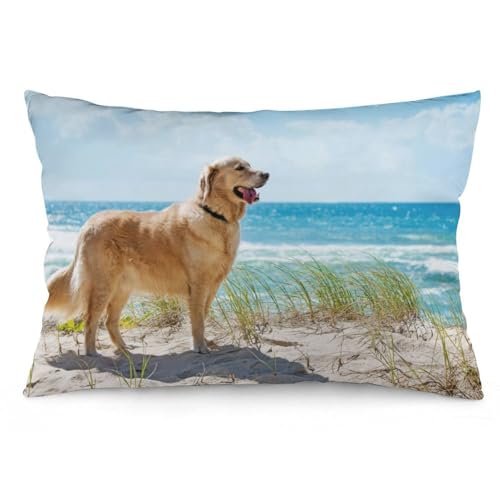 JZemdybill Kissenbezug, Golden Retriever, rechteckiger Plüsch-Kissenbezug für Couch, Schlafzimmer von JZemdybill
