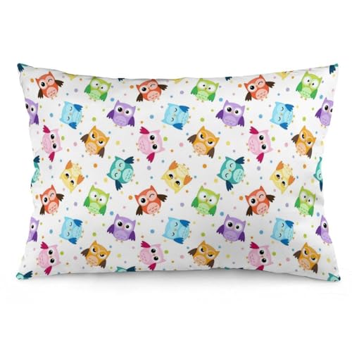 JZemdybill Kissenbezug, niedliche Eule, lustiges Eulenmuster, rechteckiger Plüsch-Kissenbezug für Couch, Schlafzimmer von JZemdybill