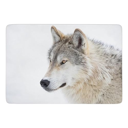 JZemdybill Teppich Brauner Wolf, weiche Bodenmatte für Wohnzimmer, Schlafzimmer (100 x 150 cm) von JZemdybill