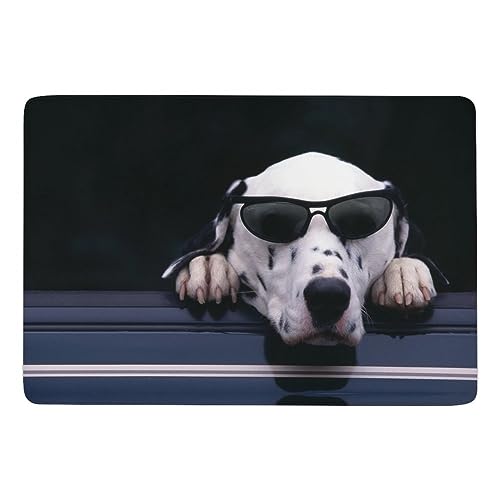 JZemdybill Teppich Dalmatiner-Teppich, weiche Bodenmatte für Wohnzimmer, Schlafzimmer (100 x 150 cm) von JZemdybill
