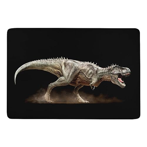 JZemdybill Teppich Dinosaurier Rex Tyrannosaurus Teppich, weiche Bodenmatte für Wohnzimmer, Schlafzimmer (100 x 150 cm) von JZemdybill