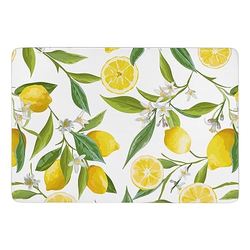 JZemdybill Teppich Zitrone mit Blumen und Blättern, weiche Bodenmatte für Wohnzimmer, Schlafzimmer (100 x 150 cm) von JZemdybill