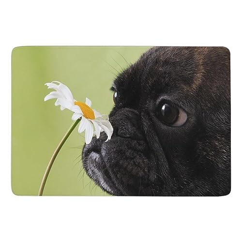 JZemdybill Teppich mit Hundemuster, Mops, Blume, weiche Bodenmatte für Wohnzimmer, Schlafzimmer (100 x 150 cm) von JZemdybill