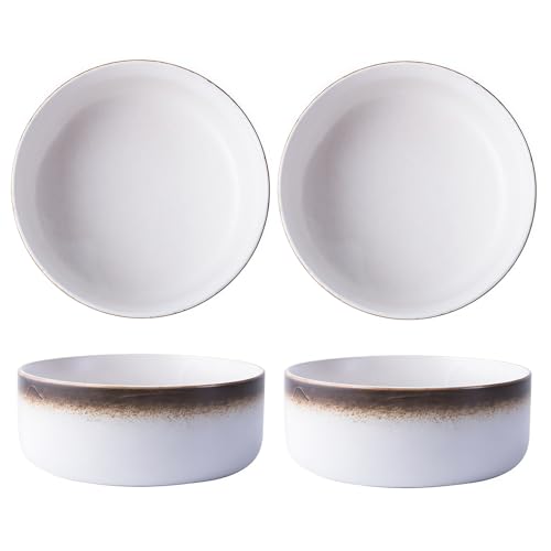 Jaamyears Keramikschüssel 4er Set, 850.5 g Suppenschüsseln Mikrowellengeeignet, Porzellan-Speiseteller, Steingut-Schalen für Müsli, Reis von Jaamyears
