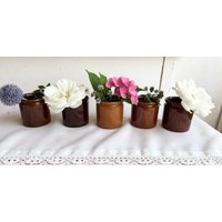 Kleine Vasen , Gefäße Aus Alter Apotheke Braun 5Er Set von Jabenkovint