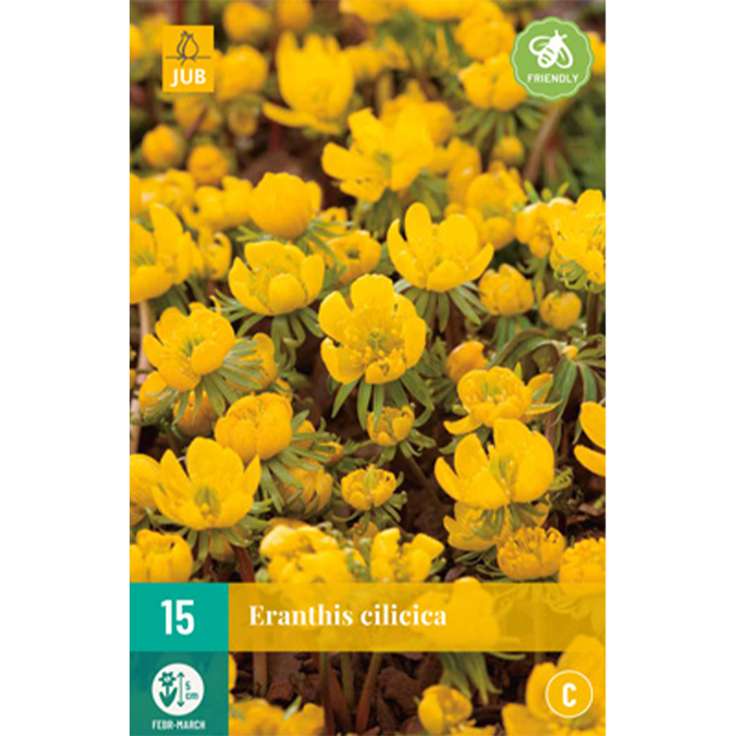 Winterlinge - 25 Stück Liefergröße: Zwiebelgrösse 4/5 Winterlinge - 25 Stück Liefergröße: Zwiebelgrösse 4/5 von Jac Uittenbogaard & Zonen BV