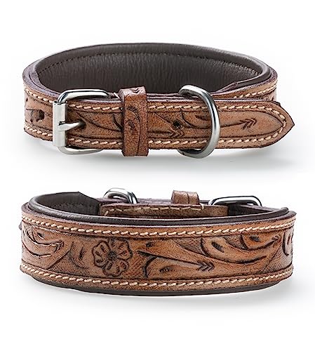 Exklusives Hundehalsband aus Leder mit geschnitzten Blumenmustern/Ornamenten – Halsband aus Büffelleder – gepolstertes Hunde Lederhalsband Abey (M (33,5-41cm)) von Jack & Russell