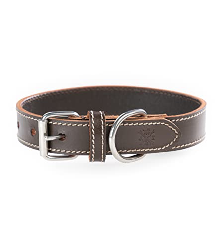 Hundehalsband aus Büffelleder – Robustes & Elegantes Lederhalsband aus Fettleder – Hunde Halsband Leder für kleine & große Hunde Hector braun (S (34-41cm)) von Jack & Russell