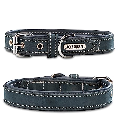 Hundehalsband aus Leder in Petrol/Blau– gepolstertes Lederhalsband für kleine & große Hunde - Halsband Bella (S (27,5-34,0cm)) von Jack & Russell