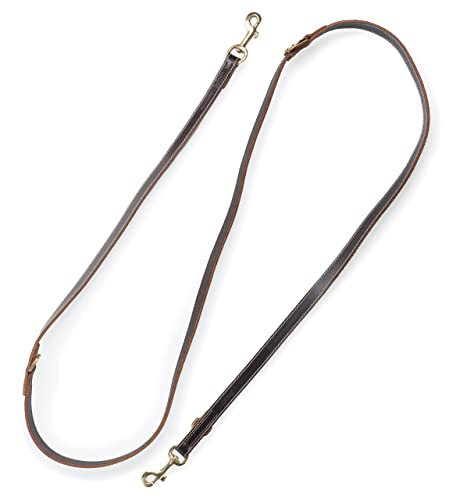 Hundeleine aus Leder - mehrfach verstellbare Führleine 2,40m - Hunde Lederleine extrem Stabil mit Messing-Karabiner - Echt-Leder Leine lang Timmy (Dunkelbraun) von Jack & Russell