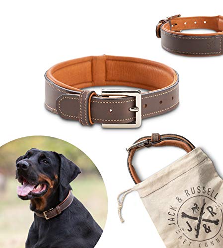 Jack & Russell Premium Hunde Leder Halsband Amy - Lederhalsband aus Echtleder mit Original J&R Prägestempel - robust & elegant Amy (XS) von Jack & Russell