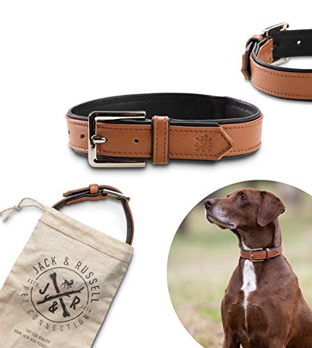 Jack & Russell Premium Leder Hunde Halsband Lilly - Leder Halsband Zwei Farben gesteppt - echtes Leder div. Farben Hudehalsband Lilly (L, Braun/Schwarz) von Jack & Russell