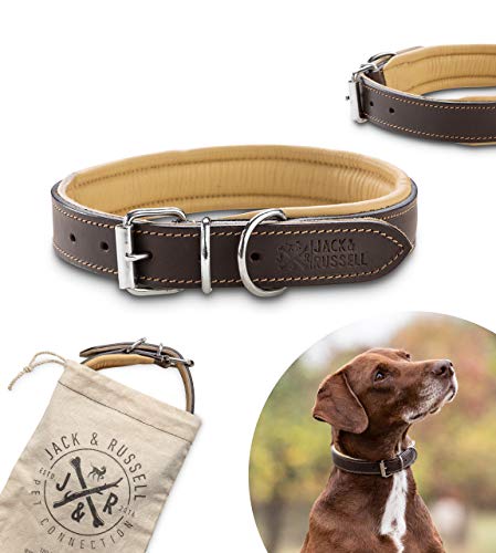 Jack & Russell Premium Leder Hunde Halsband Pluto - Original Leder Halsband - echtes Leder braun Pluto (S) von Jack & Russell