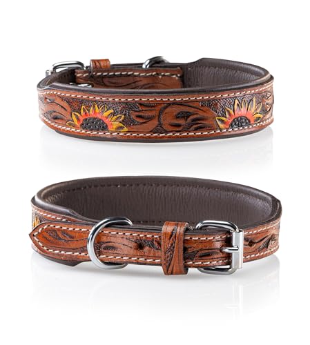 Jack & Russell Unikat Hundehalsband aus Leder, Hand-geschnitzt und gepolstert – Halsband aus Büffelleder, Hunde Lederhalsband Soleil (L/40-49,5) von Jack & Russell