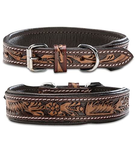 Unikat Hundehalsband aus Leder mit Hand-geschnitzten Stanzmustern/Ornamenten – Halsband aus Büffelleder – gepolstertes Hunde Lederhalsband Alexey (L (40,0-49,5cm)) von Jack & Russell